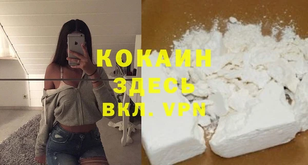 гашик Липки